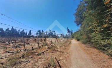 Sitio en Arriendo en Balmaceda