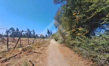 Sitio en Arriendo en Balmaceda