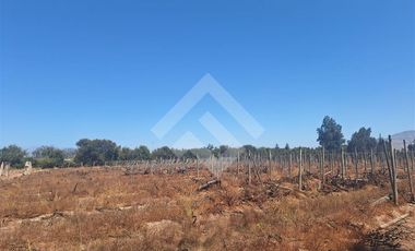 Sitio en Arriendo en Balmaceda