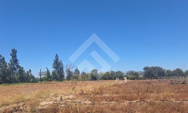 Agrícola en Arriendo en Balmaceda