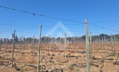 Agrícola en Arriendo en Balmaceda