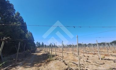 Agrícola en Arriendo en Balmaceda