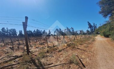 Agrícola en Arriendo en Balmaceda