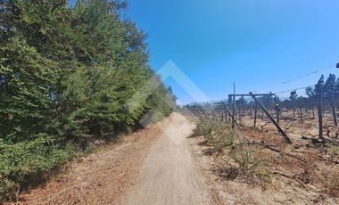 Agrícola en Arriendo en Balmaceda