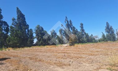 Agrícola en Arriendo en Balmaceda