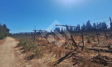Agrícola en Arriendo en Balmaceda