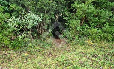 Parcela en Venta en Rio Lenca / Rio Vilcum