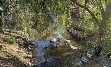 Parcela en Venta en SANTA TERESA DE LONQUEN