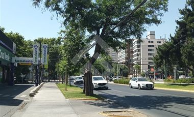 Local Comercial en Arriendo en Manquehue