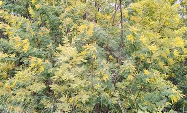 Terreno en venta en Portezuelo, Itata