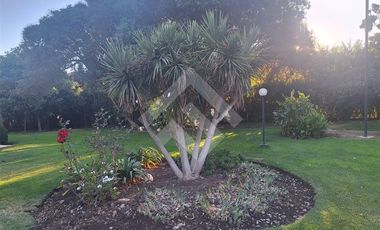 Casa en Venta en Camino Carampangue Trebulco