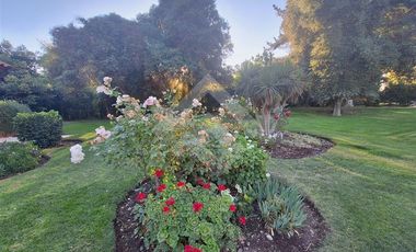 Parcela en Venta en Camino Carampangue Trebulco