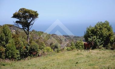 Parcela en Venta en A 900 MTS DE LA CALET A ESTAQUILLA CARRETERA V626 LOS MUERMOS