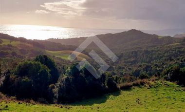 Parcela en Venta en A 900 MTS DE LA CALET A ESTAQUILLA CARRETERA V626 LOS MUERMOS