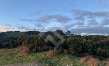 Parcela en Venta en A 900 MTS DE LA CALET A ESTAQUILLA CARRETERA V626 LOS MUERMOS