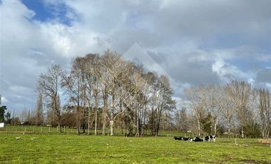 Parcela en Venta en Parcelas Condominio Pelleco