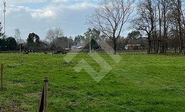 Parcela en Venta en Parcelas Condominio Pelleco