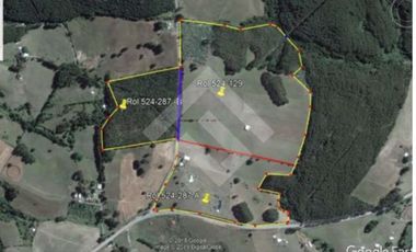 Parcela en Venta en a 7 kms desde La Unión ruta t80 camino a Hueicolla Sur Oeste de la Unión