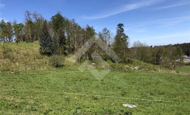 Parcela en Venta en Camino Las Quemas km 6