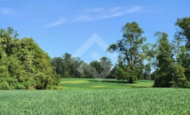 Terreno Construccion  en Venta en Choroico, Tronlico