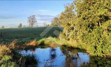 Terreno Construccion  en Venta en Choroico, Tronlico