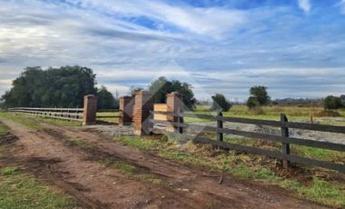 Terreno Construccion  en Venta en Choroico, Tronlico