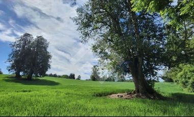 Terreno Construccion  en Venta en Choroico, Tronlico