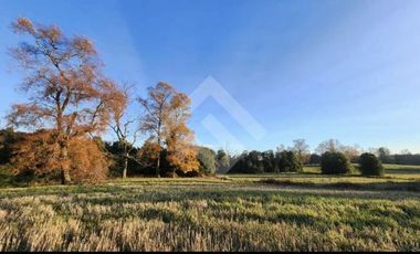 Terreno Construccion  en Venta en Choroico, Tronlico