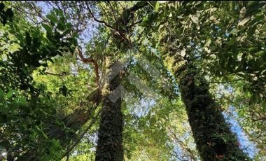 Terreno Construccion  en Venta en Choroico, Tronlico