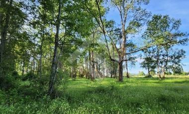 Terreno Construccion  en Venta en Choroico, Tronlico