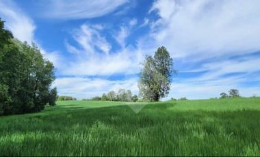 Terreno Construccion  en Venta en Choroico, Tronlico