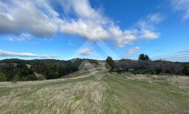 Parcela en Venta en LOS MUERMOS