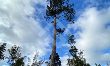 Parcela en Venta en LOS MUERMOS