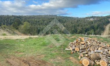 Parcela en Venta en LOS MUERMOS