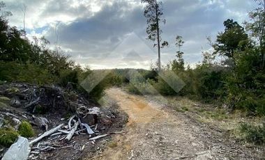 Parcela en Venta en LOS MUERMOS