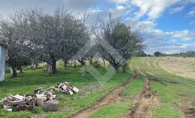 Parcela en Venta en LOS MUERMOS