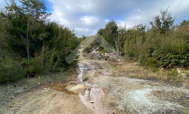 Parcela en Venta en LOS MUERMOS