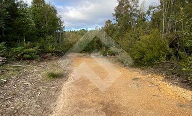 Parcela en Venta en LOS MUERMOS