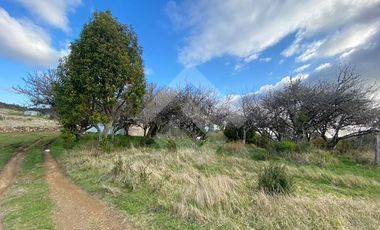 Parcela en Venta en LOS MUERMOS