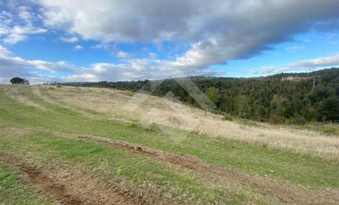 Parcela en Venta en LOS MUERMOS