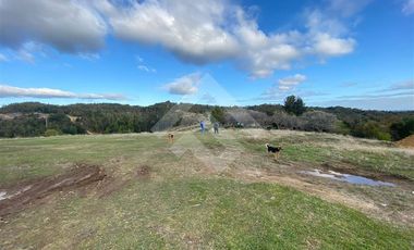 Parcela en Venta en LOS MUERMOS