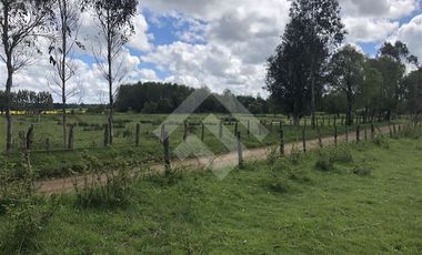 Sitio en Venta en Fundo Parga Beatas