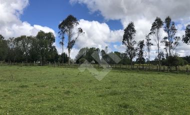 Sitio en Venta en Fundo Parga Beatas