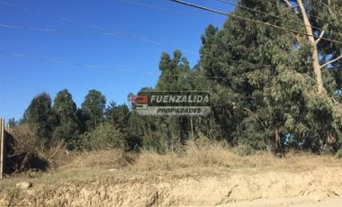 Terreno Construccion  en Arriendo en Reñaca Alto