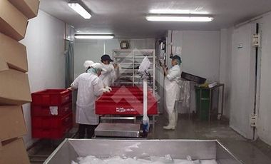 Local Comercial en Venta en CALBUCO
