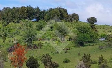 Parcela en Venta en San Carlos el Mañio a 100 mts del rio llico