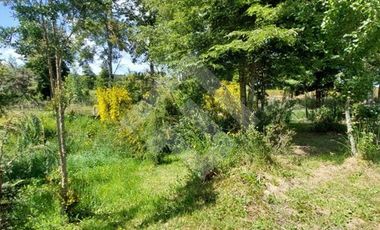 Parcela en Venta en San Carlos el Mañio a 100 mts del rio llico