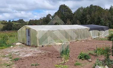 Parcela en Venta en San Carlos el Mañio a 100 mts del rio llico