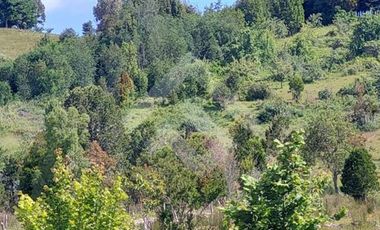 Parcela en Venta en San Carlos el Mañio a 100 mts del rio llico