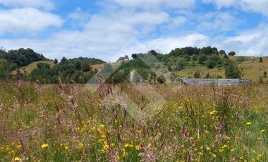 Parcela en Venta en San Carlos el Mañio a 100 mts del rio llico